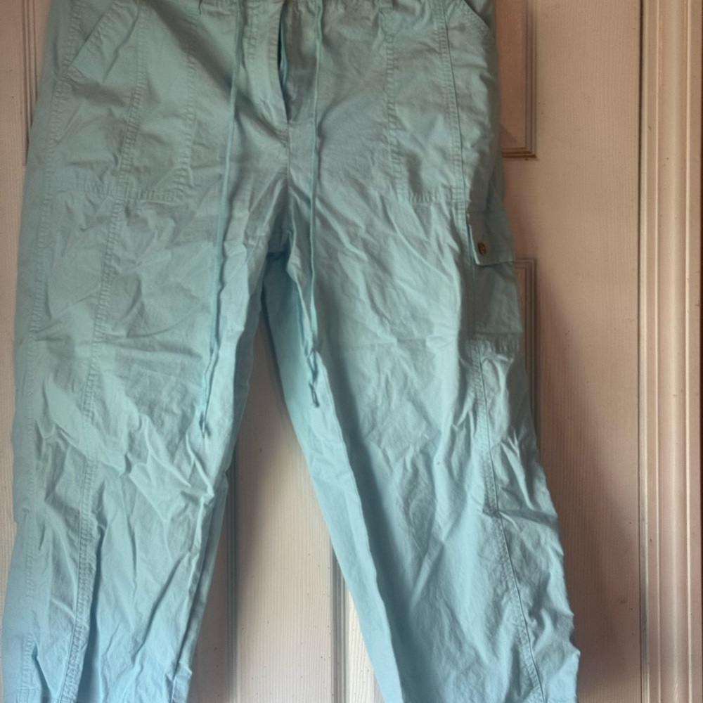 Talbots Sky Blue Casual Pants